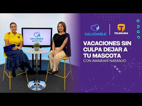 Vacaciones sin culpa: Dejar a tu mascota