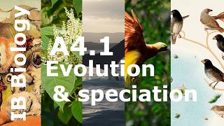 IB Biology – A4.1 Evolution and speciation