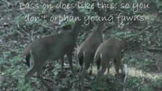 preview picture of video 'Opening Day of Bow Season 2011 with Freewater Experience'