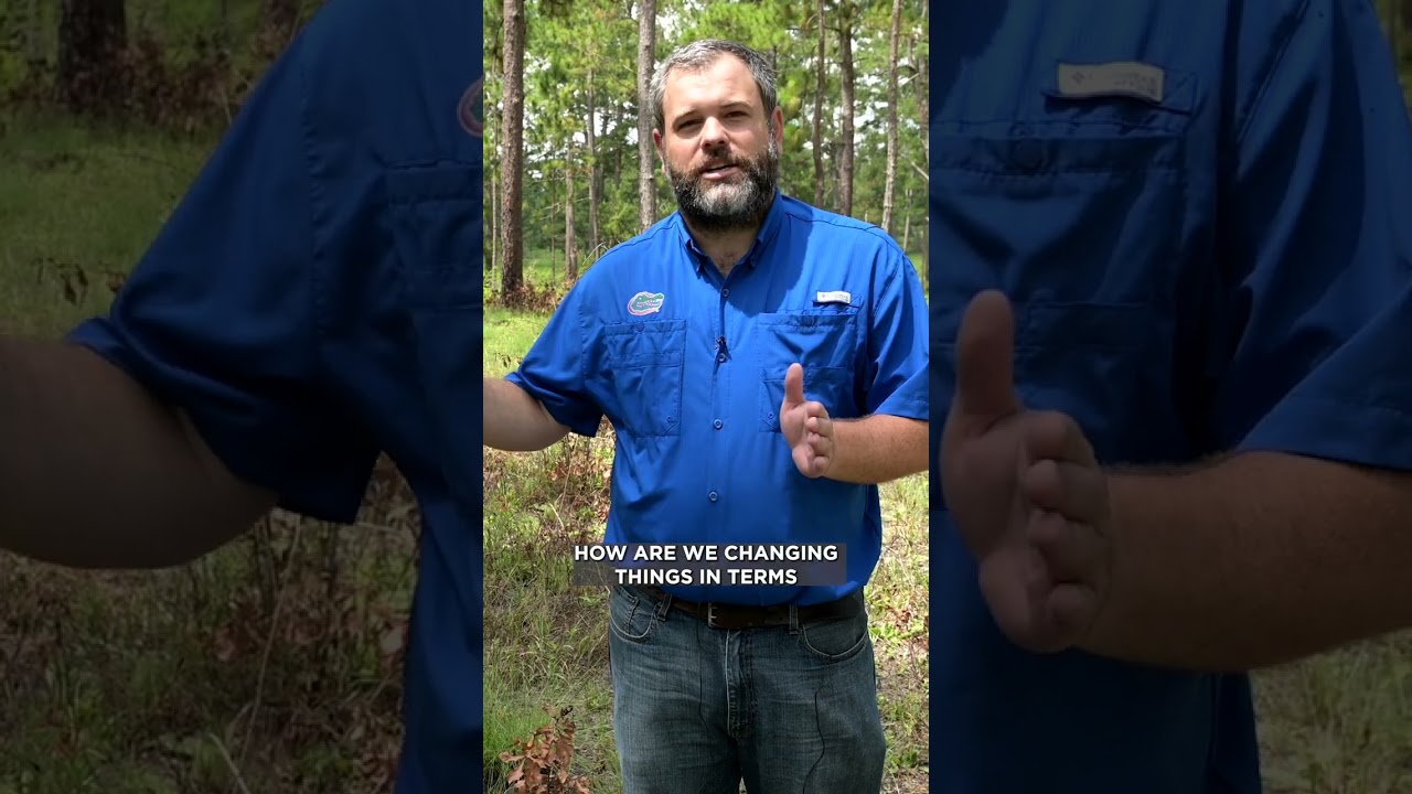 Prescribed Fire | WHEN Should You Burn?! #shorts