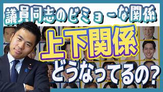 国会議員の上下関係って？年齢？議員歴？　国民民主党　かごしま彰宏