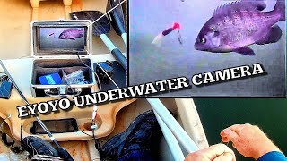 Eyoyo Underwater Fishing Camera Test – Live Lake Footage & Real Fish Action!