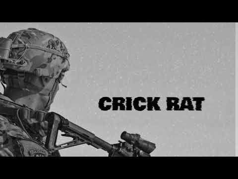 CRICK RAT   