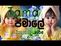 Jamal Jamalo Original Remix Animal Song Bobby Deol Entry Lyrics And Translation Pdbeats
