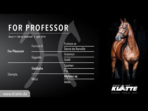 FOR PROFESSOR v.  For Pleasure x Stakkato - Hengste 2021 - www klatte de