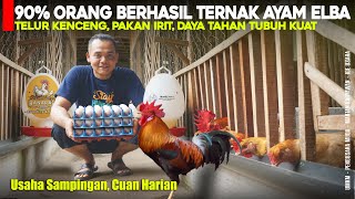 Download lagu The Prospects of Raising ELBA Chickens as a Side Business: Continuous Egg Harvests with Only 70 G... mp3 Download lagu The Prospects of Raising ELBA Chickens as a Side Business: Continuous Egg Harvests with Only 70 G... mp3