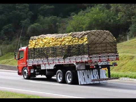 BOTA PRA ANDAR, BOTA NA MARCHA DE FAZER DEFUNTO.