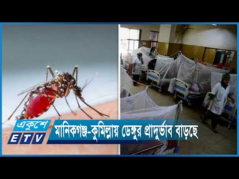 মানিকগঞ্জ ও কুমিল্লায় ডেঙ্গুর প্রাদুর্ভাব বাড়ায় আলাদা ওয়ার্ডে চিকিৎসা | ETV News