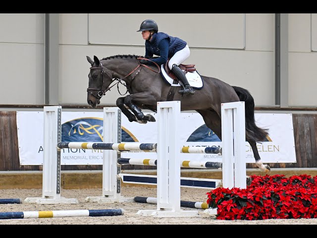 Wiske van het Lindehof - ridden