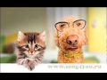 C днем рождения, племянник!!! JCL Media 