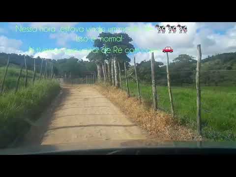 UM PASSEIO NO SÍTIO DE TANQUE D ARCA ALAGOAS  MÊS DE JULHO  2025  