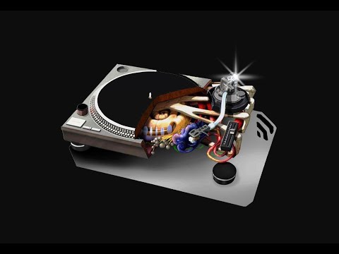 DAVID FASCHER • DMC WORLD CHAMPION (1990-1991)