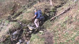 2016 MAR Kephart Shelter Loop - Smoky Mountains