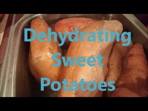 download lagu mp3 mp4 Can You Dehydrate Sweet Potatoes, download lagu Can You Dehydrate Sweet Potatoes gratis, unduh video klip Can You Dehydrate Sweet Potatoes