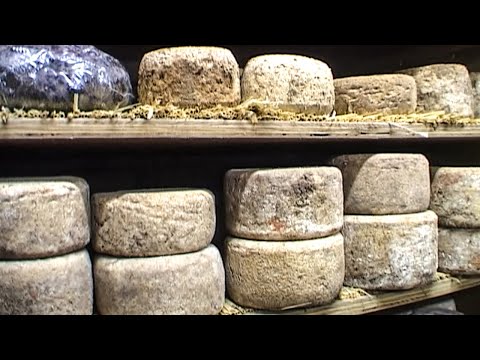La tomme de Savoie, le fromage aux mille recettes