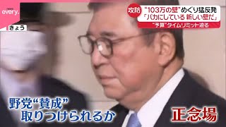 【“103万円の壁”と“教育無償化”は…】「バカにしている」国民民主が猛反発  維新は？