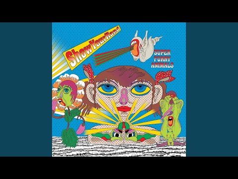 Show Your Hand - Super Furry Animals