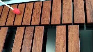 Xylosynth Dynamic Range through audio system