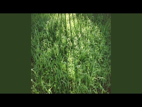 Video thumbnail for скрестивши пальцы на скрещенных руках (fingers crossed on crossed arms)