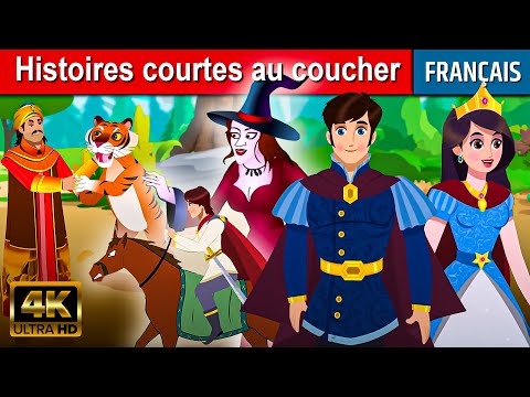 Histoires courtes au coucher - Histoire Pour S'endormir | Contes De Fées | Histoire Pour Dormir