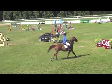 2004 Stallion by Kashmir