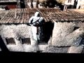 Assassins creed 1 parkour 