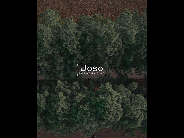 O que a fotografia representa para mim...