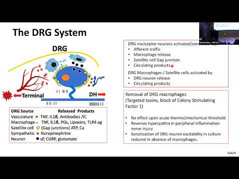 Prasad Shirvalkar | UCSF Profiles