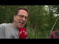 Je struikelt in Flevoland over de ringslangen