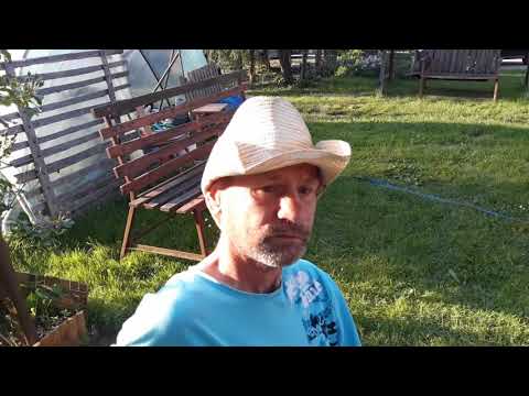 Szczodrów 2018 Kenet je kiszonego śledzia