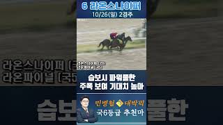 [서울 경마] 민병철 대박픽 2025년 10월 26일 일요 2R 추천마1 #경마 #하이라이트 #한국마사회 #고배당 #검빛 #코리아