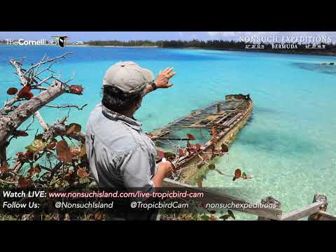 May 23 Tropicbird Cam  Health Check