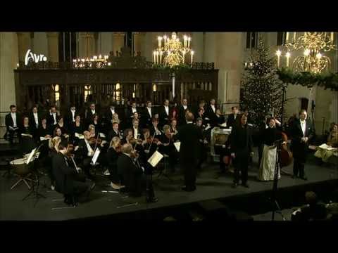 Bach: Weihnachtsoratorium BWV 248 - Cantate no.2 - Combattimento Consort Amsterdam - Live