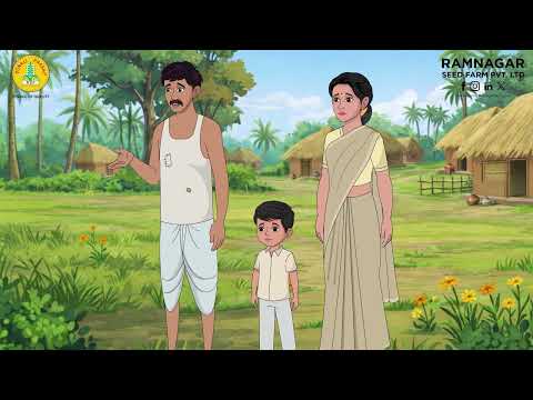 Improved Paddy – Duronto