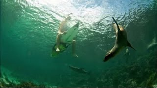 Behind The Scenes: Jeff Flindt Surf Photography Shoot