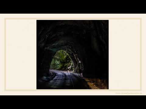 Lunca Cernii Tinutul Padurenilor