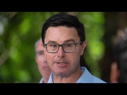 Senior Liberals unleash on ‘pathological liar’ Littleproud who is ‘paralysed by fear’