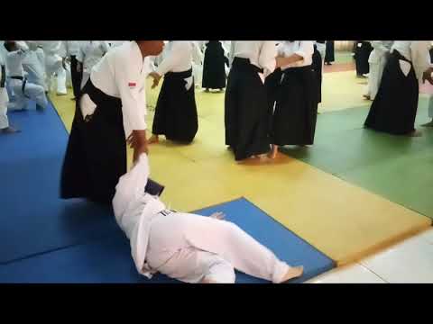 International Aikido Seminar 2018 with Makoto Ito Shihan - Session 1