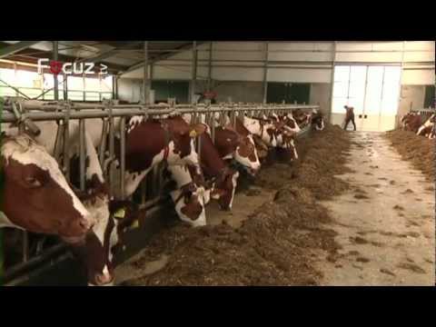 De Boer Op - aflevering 1 - 12 maart 2013