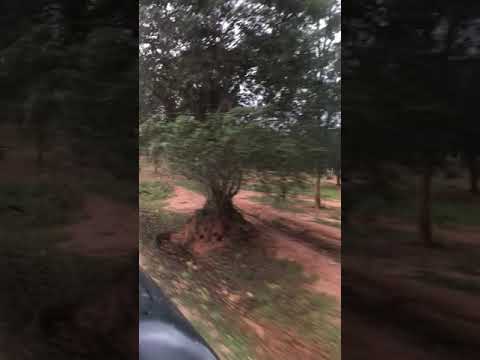 rediyagama park eka balamuda