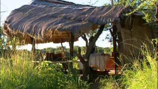 Aventures de femmes - Carolyn Roumeguère