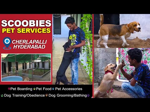 Scoobies Pet Services - Cherlapally