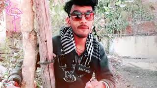 High court  - shashi khushi ( official music video