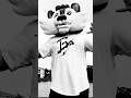 Innate Mascot "RIPPER WOLF" Rejected by the Surf Industry again!