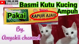 Download lagu Cara Membasmi KUTU PADA KUCING mp3 Download lagu Cara Membasmi KUTU PADA KUCING mp3
