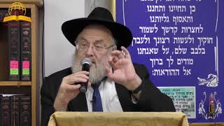 פרשת ויצא תשפ"ד - על מה הערבים כל כך נלחמים עם ישראל? הרב מנחם שטיין