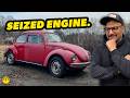 Dirt Cheap VW Beetle ABANDONED For Years Will It RUN AND DRIVE Again