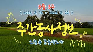 ✨[ 주간농사정보 ] 3월 3째주 (2026. 03. 16. ~ 2026. 03. 22.)