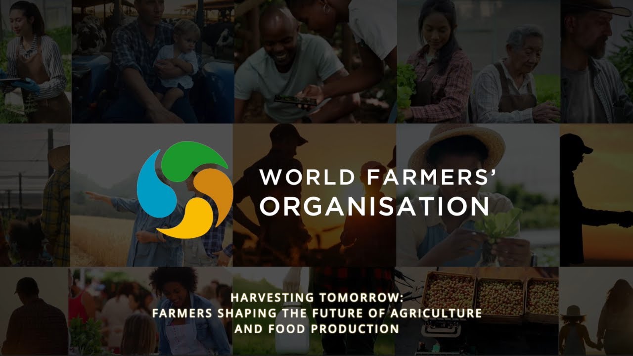 #WFO2024 Annual Meeting Official Video