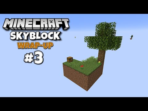 Wahnsinns-XP/GOLD-Farm! | Skyblock-Zusammenfassung Nr. 3